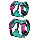 Doog Rin Tin Tin Neotech Dog Harness