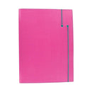 Filofax A4 Apex Folder