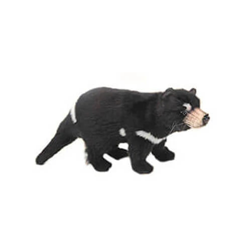 Hansa Tasmanischer Teufel