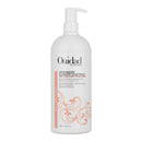 Ouidad Advanced Climate Control Defrizzing Shampoo