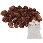 Mini Pine Cones 190g