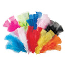 Creative School Supply Feathers 60g 240pcs
