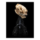 The Lord of the Rings Skull of a Warg Miniature