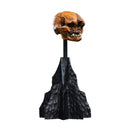 The Hobbit Skull of a Misty Mountain Goblin Miniature