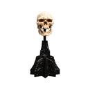 The Lord of the Rings Skull of a Mordor Orc Miniature