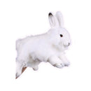  National Geographic Handpuppe