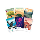 Ecosfera Expansion Strategy Game