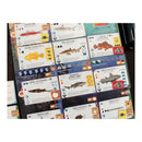 Finspan Sharks & Reefs Expansion