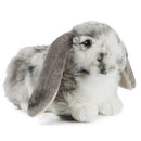 Living Nature Grey Dutch Lop Ear
