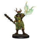Pathfinder Battles Figue Peinte Premium