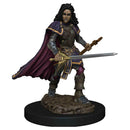 Pathfinder Battles Figue Peinte Premium