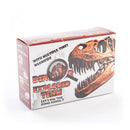 Dinosaur Explorer Team (Fossil Excavation)