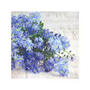 Paw Lunch Rapkin 33 cm (20pk)