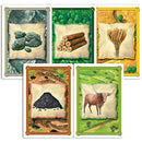 Settlers of America Trails to Rails Board Game