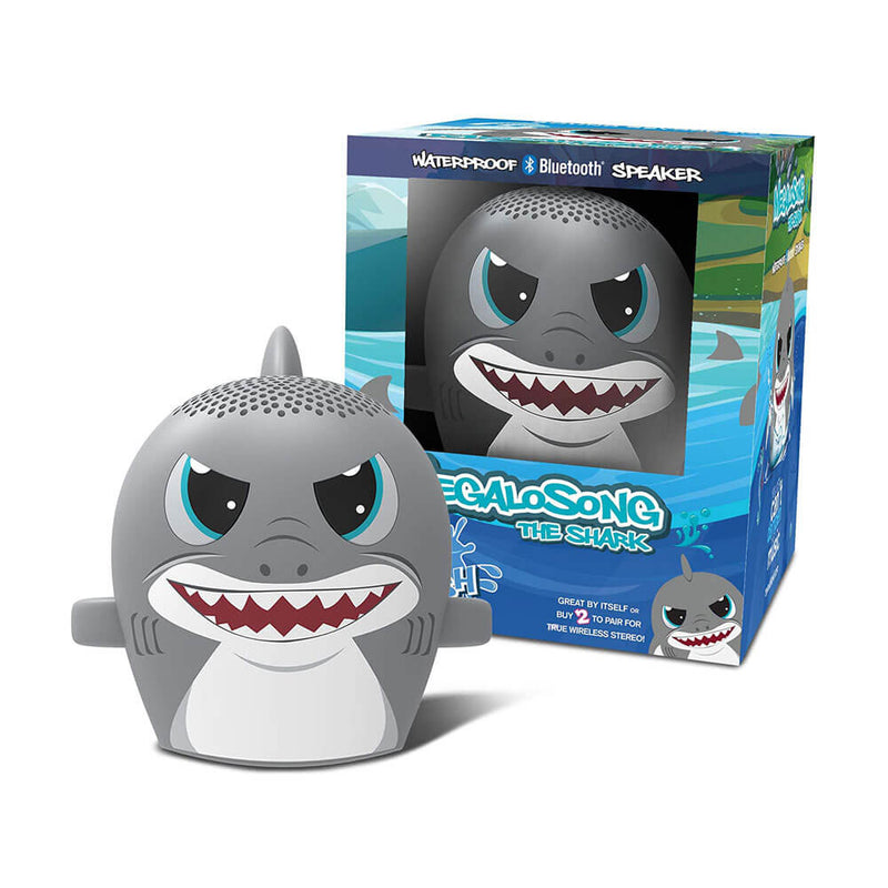 Haut-parleur Bluetooth étanche