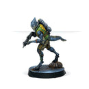 Miniatures Infinity NA2